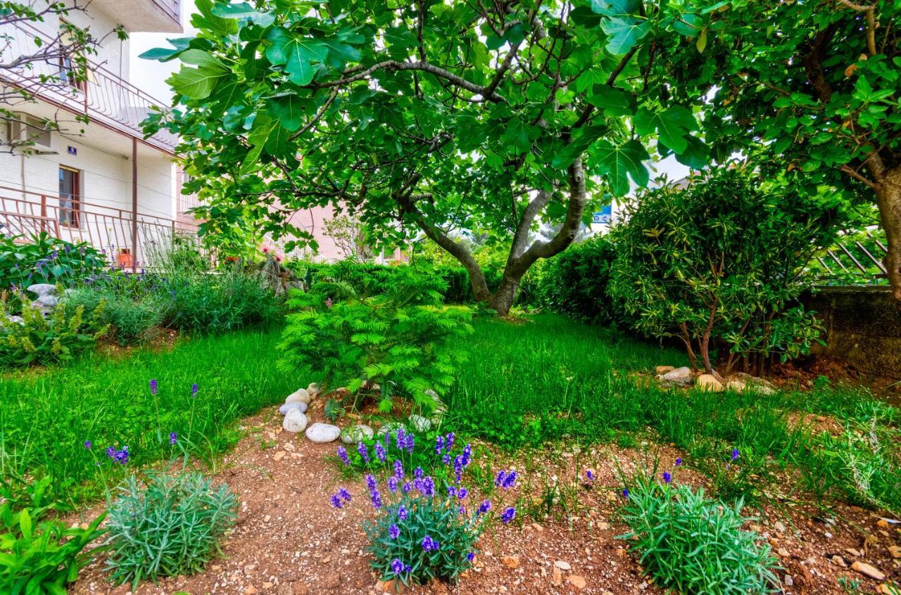 Apartmani Suncica סלצה מראה חיצוני תמונה